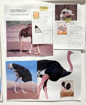 board-ostrich.jpg