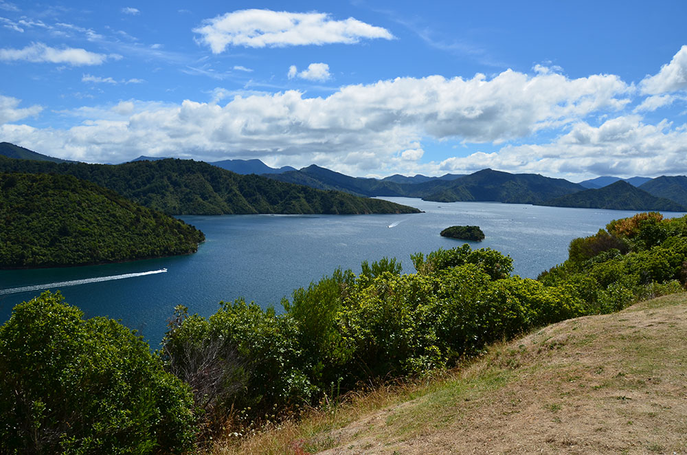 The Marlborough Sounds