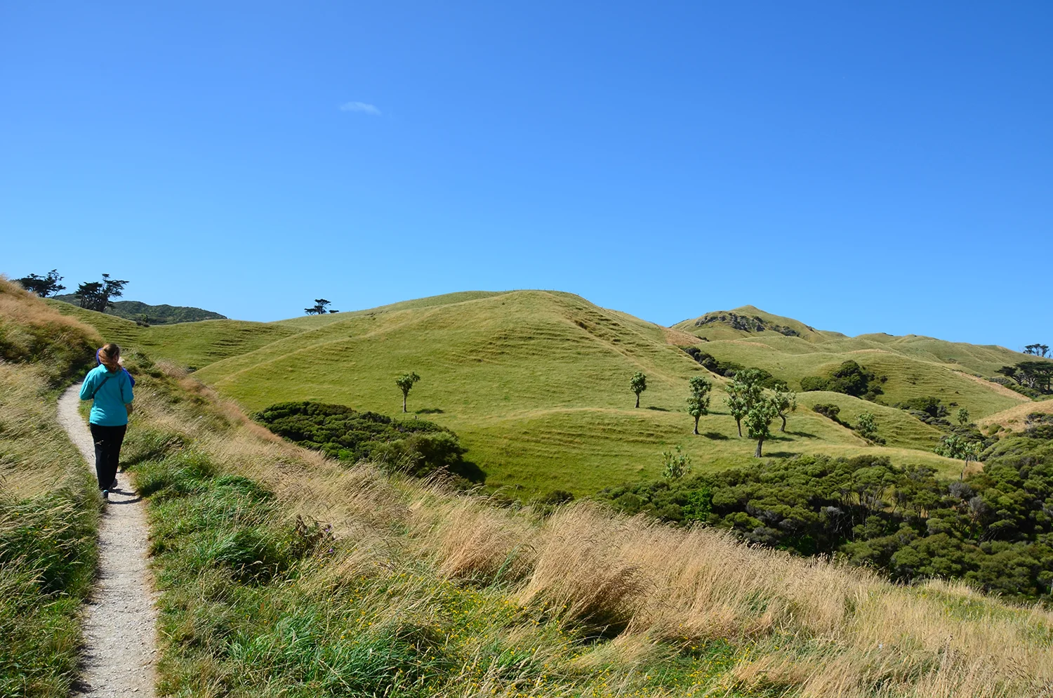 DSC_0132 2_1500px.jpg