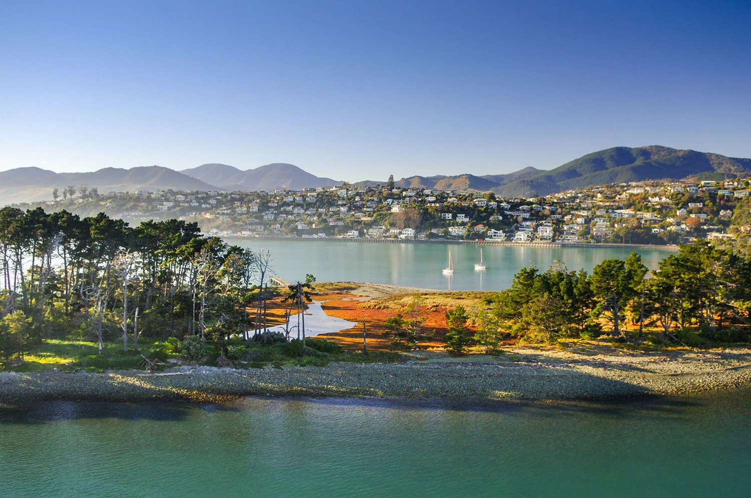 nelson-new-zealand-city-lifestyle.jpg