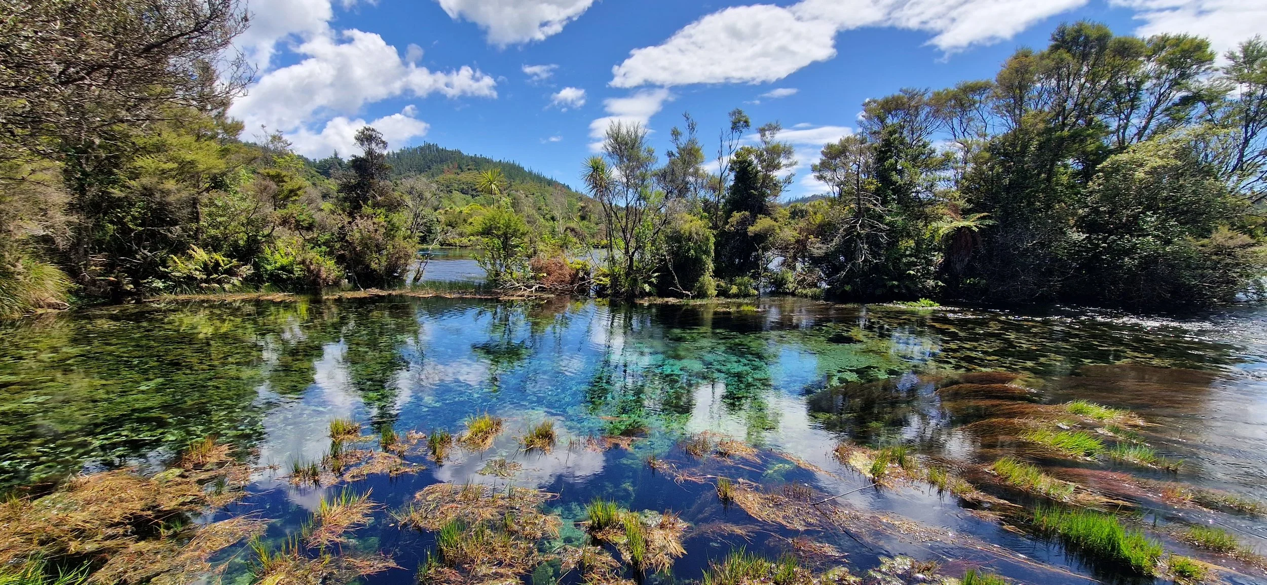 waikoropupu springs.jpg