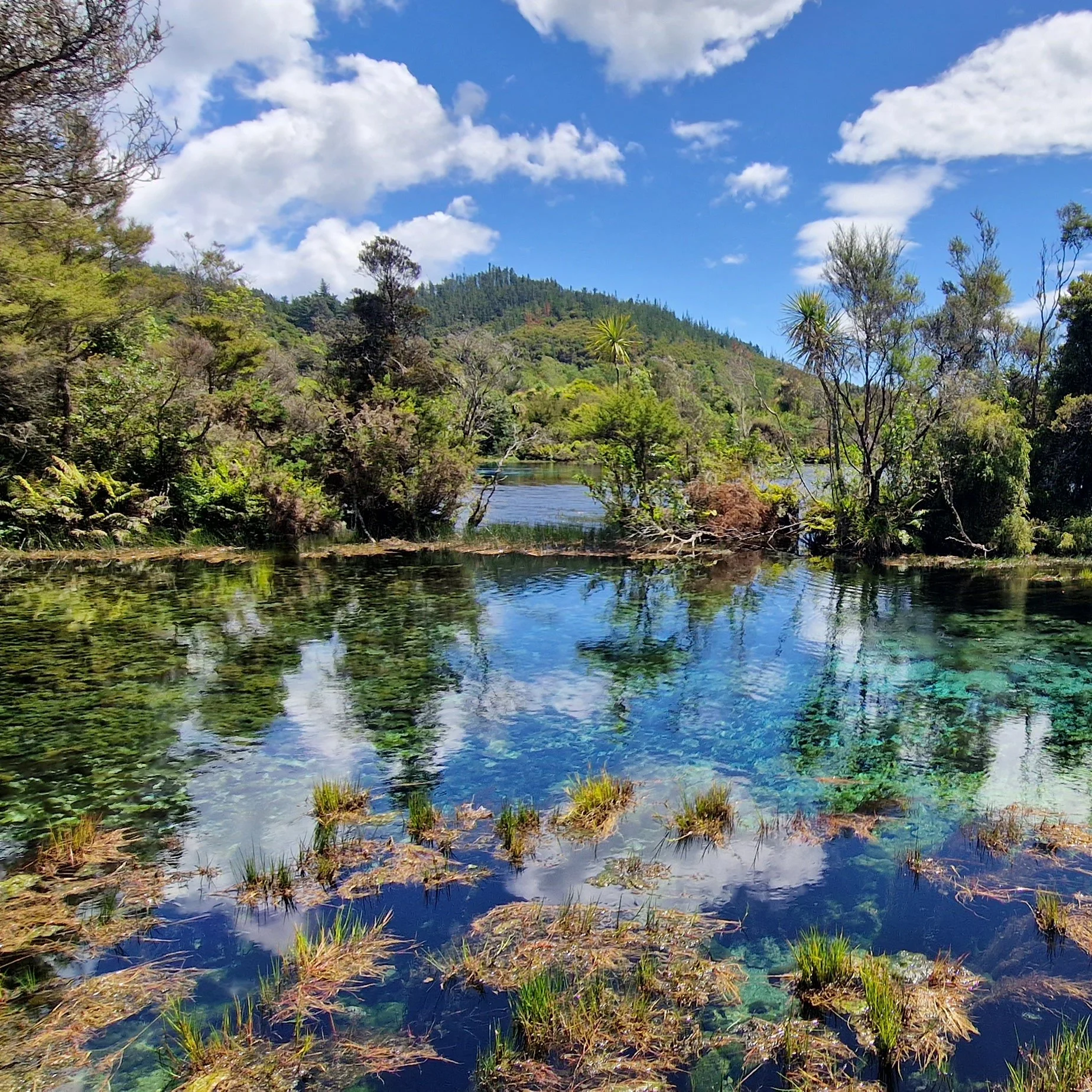 weekend-trip-waikoropupu-springs.jpg