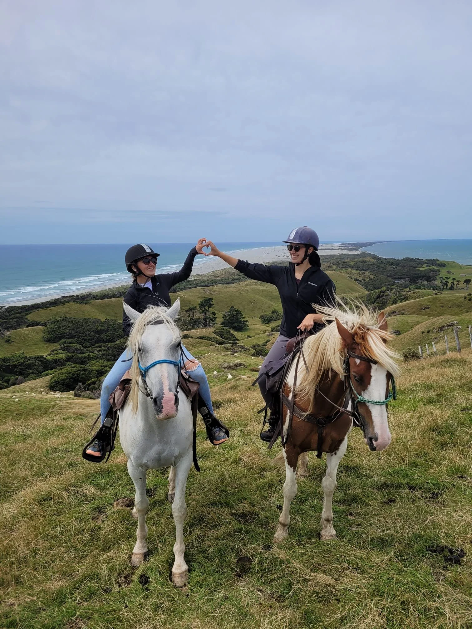 horse-riding-nelson-new-zealand.jpg