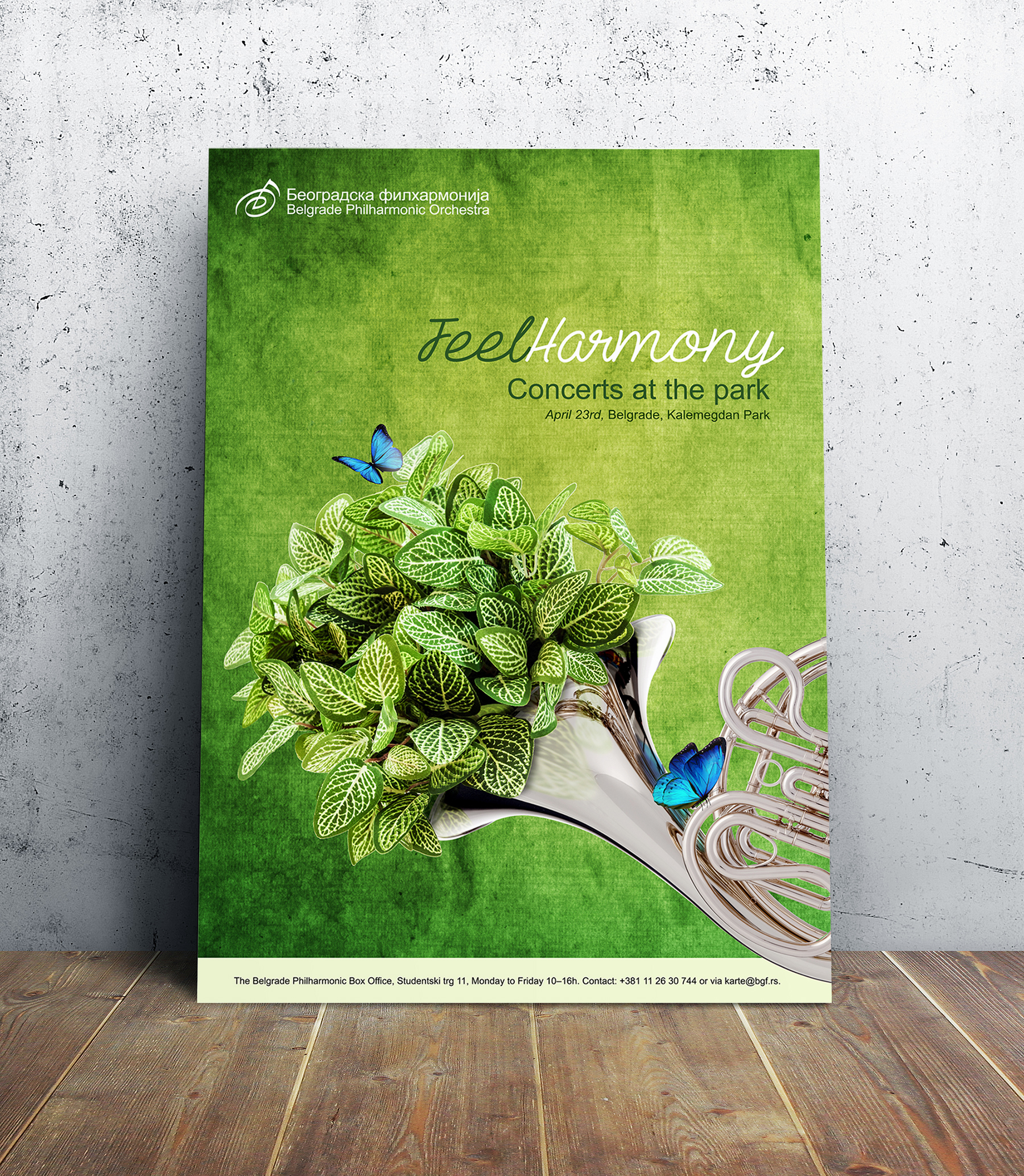 FeelHarmony--frenchorn.jpg