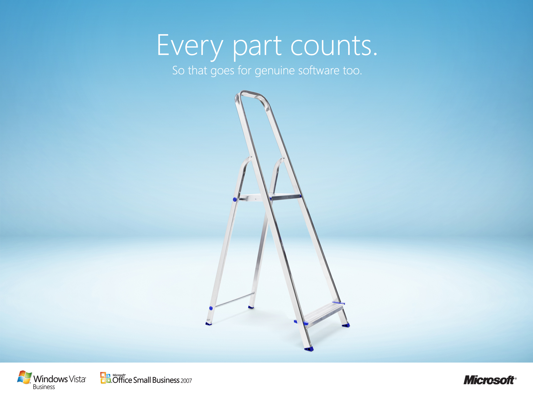 SmallBusinessFlyer-Ladder.jpg