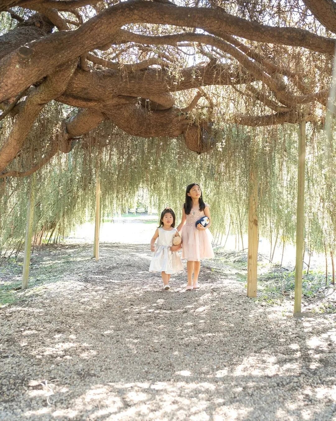 Adventure is out there! w. @life_of_the_wang

#nycphotographer #nycphotographers #maternityphotography #maternityshoot #maternity #maternityphotoshoot #family #familyphotographer #photoshoot #familyportraits #familyphotography #queens #newyorkcity #n