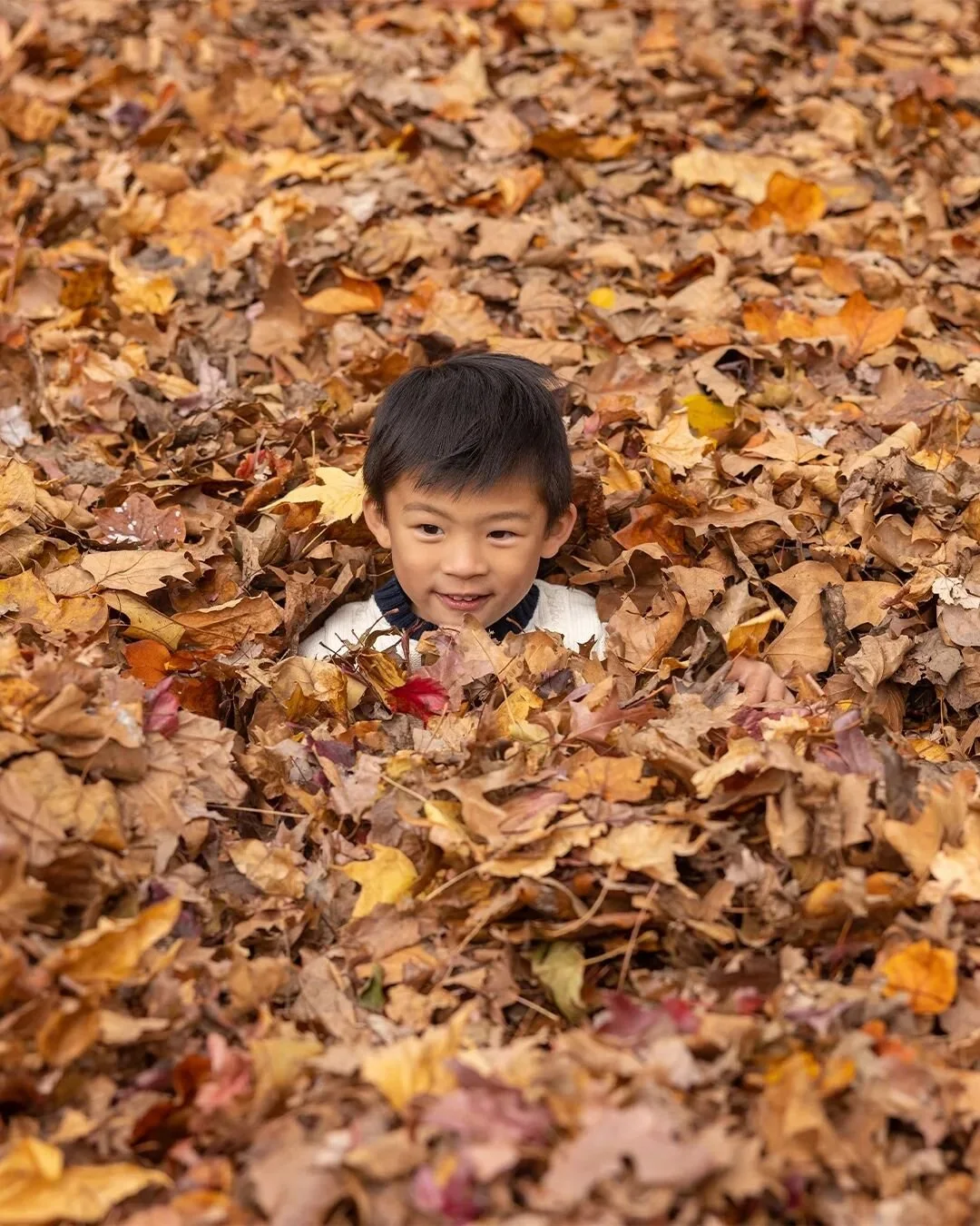 Autumn skies &amp; pumpkin pies. 🍂 @crewgrl19

#nycphotographer #nycphotographers #maternityphotography #maternityshoot #maternity #maternityphotoshoot #family #familyphotographer #photoshoot #familyportraits #familyphotography #queens #newyorkcity 