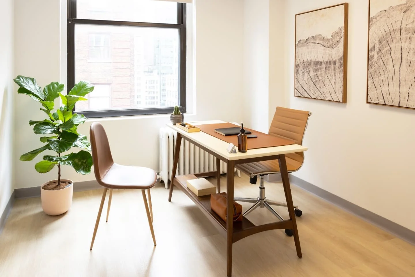 Recent interior photos for a commercial client.  Let me know what you think! 😸