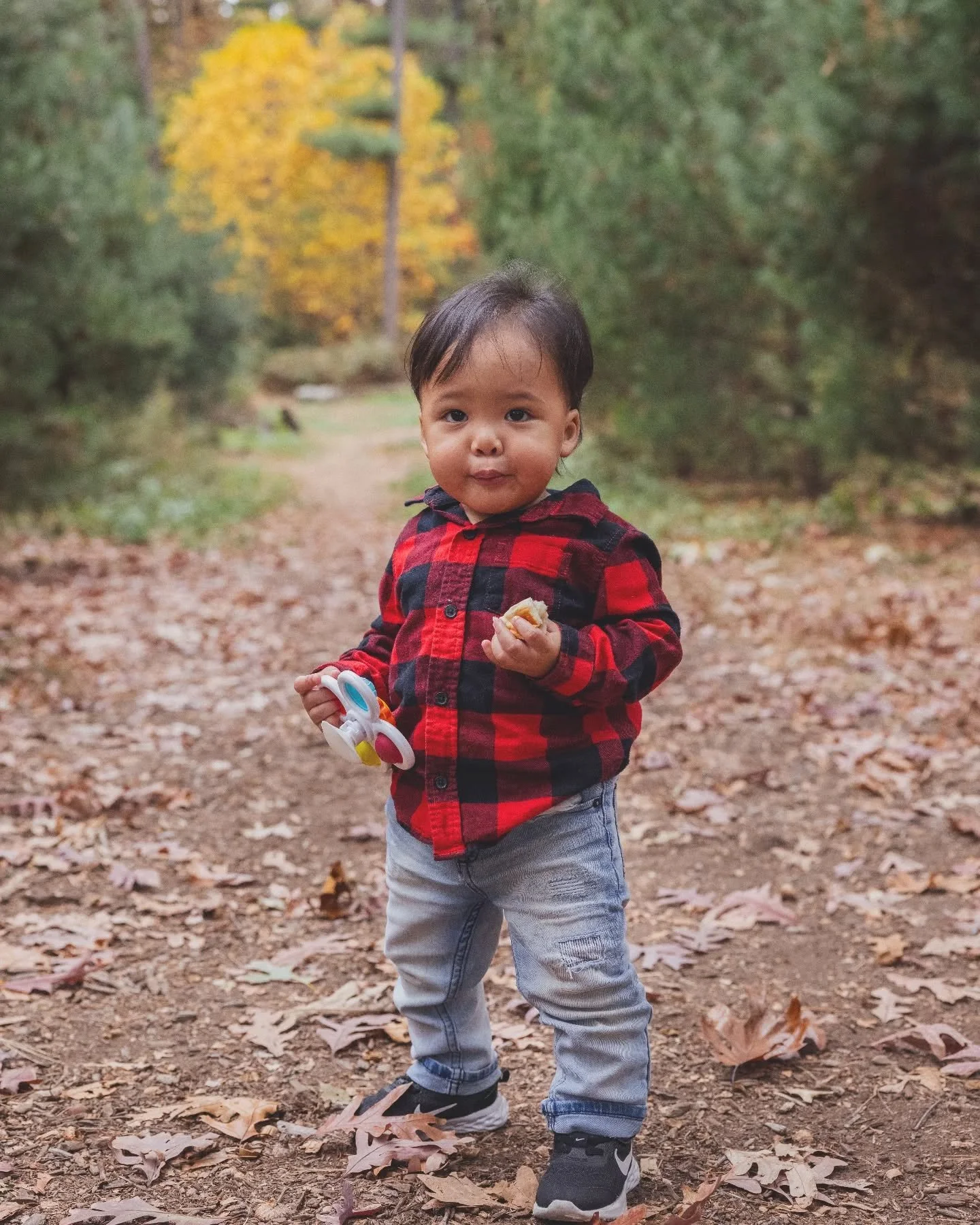 Snack break in between posing for holiday photos. 😻 @samma_gram @toe.knee.gee