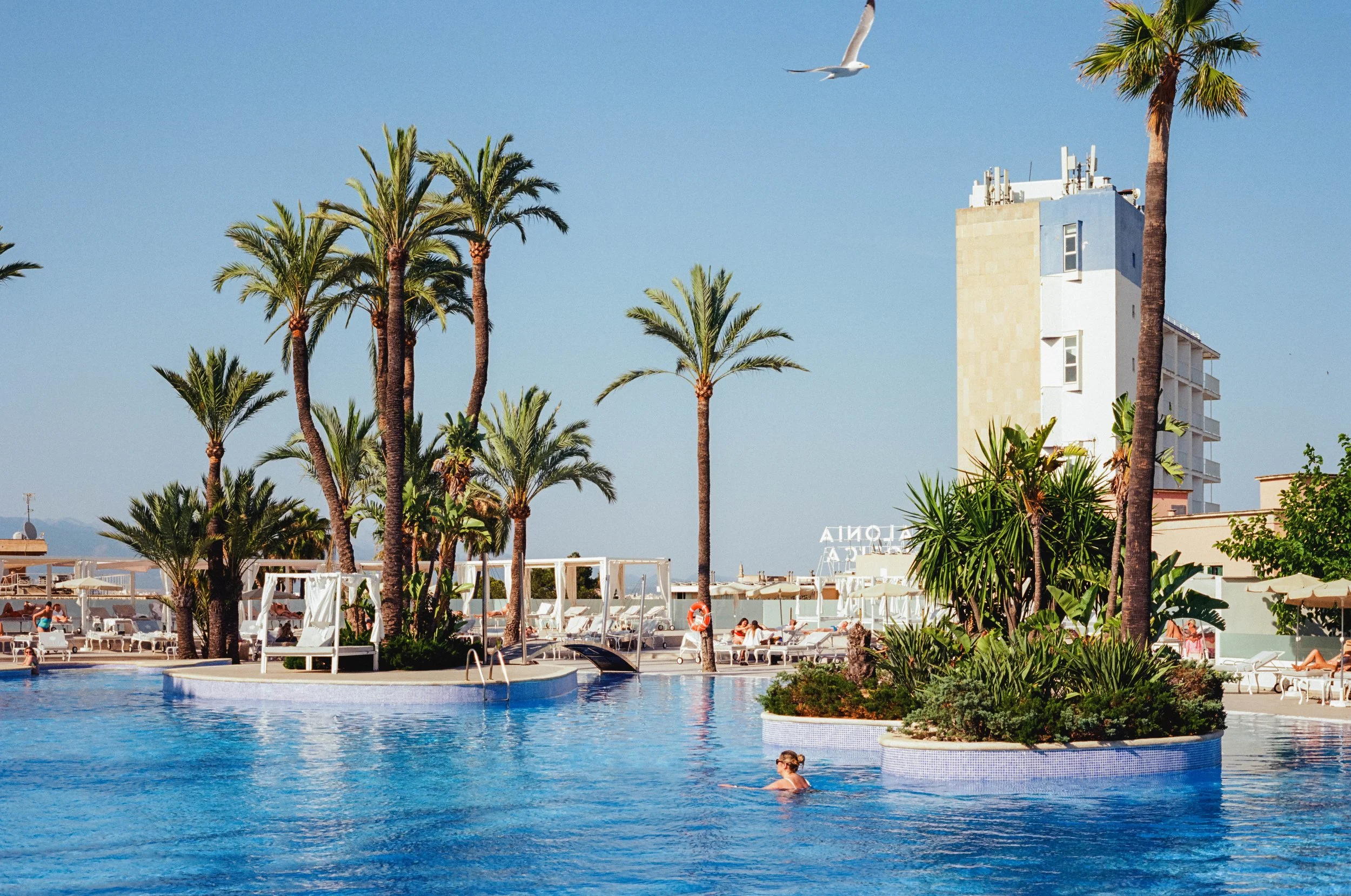 2025 - 6 June - Contax G1 - Ektar - Spain (20).jpg