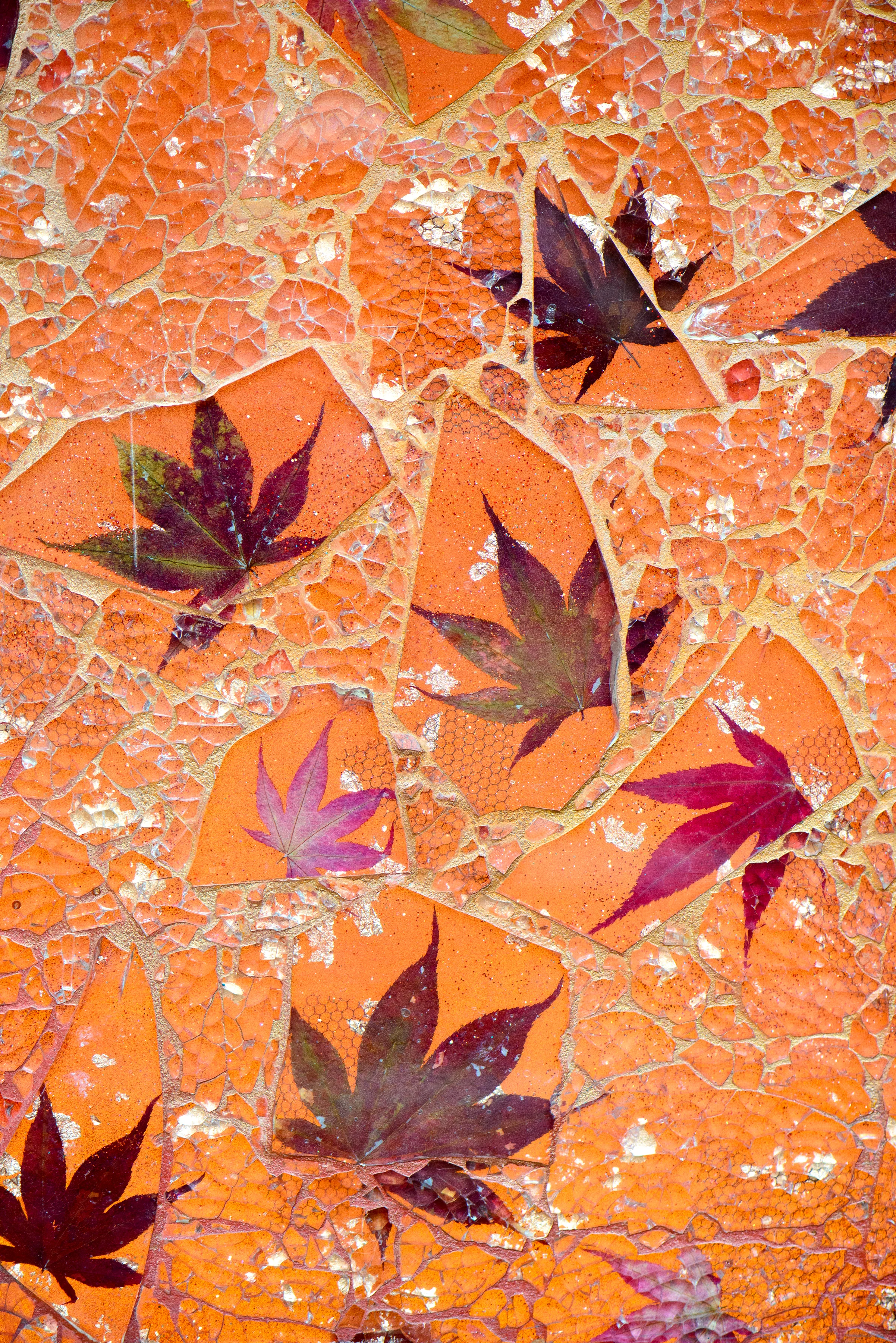 Ellen Blakeley Studio