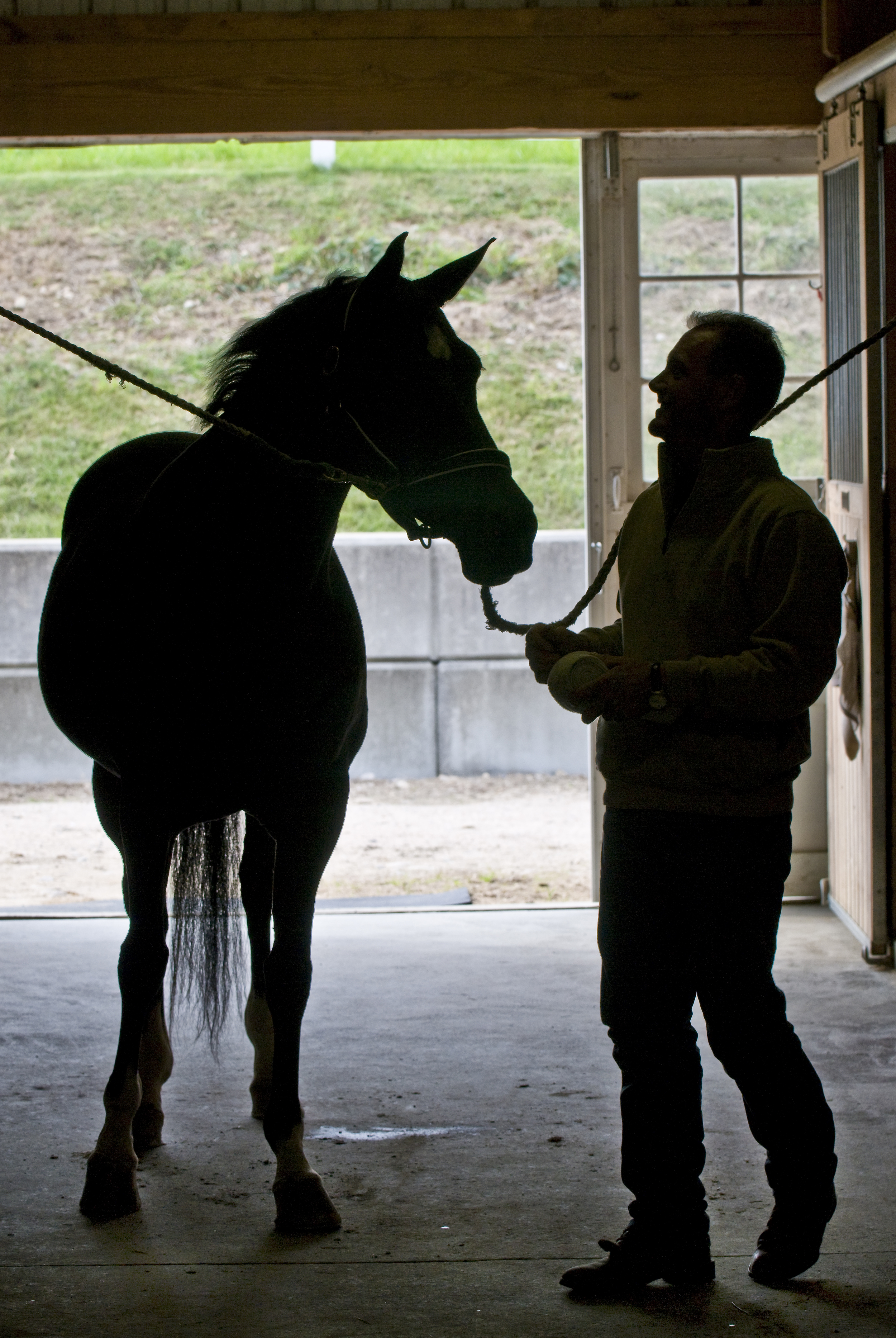 STT.ArabianHorses03.102810.jpg