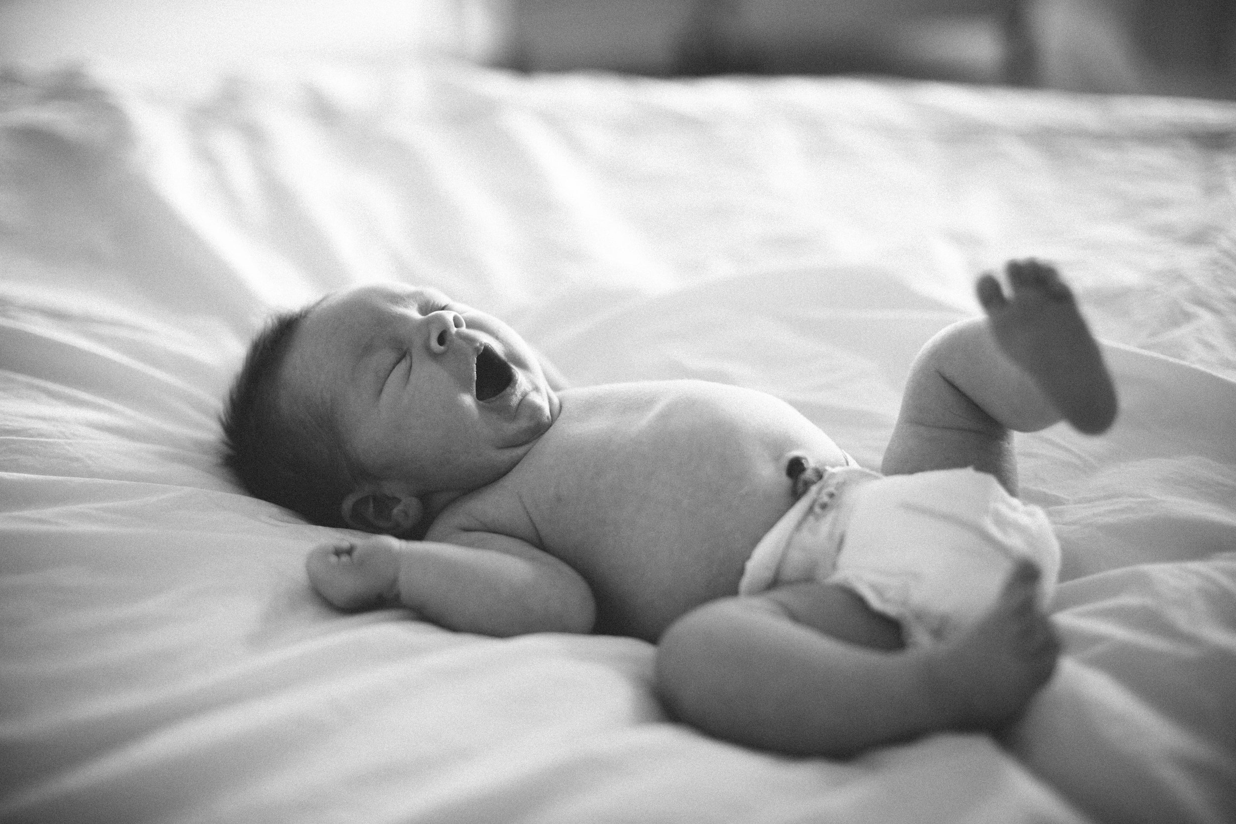 Sara Seeton Photography // Dallas Newborn Photographer