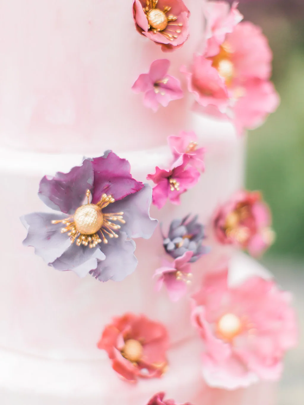 Rachel-May-Photography-32616-243.jpg