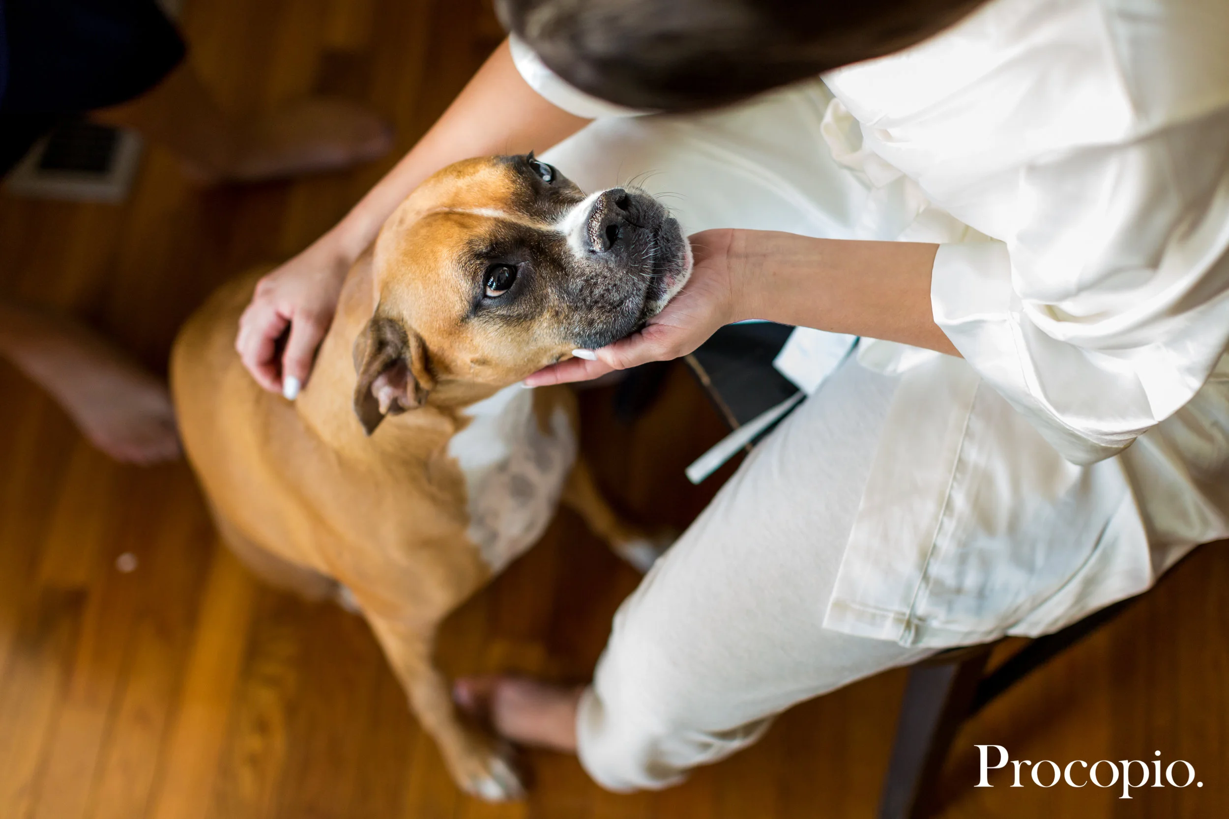 091617_©ProcopioPhotography_RubinoWedding-DoNotRemoveWatermark-027.jpg