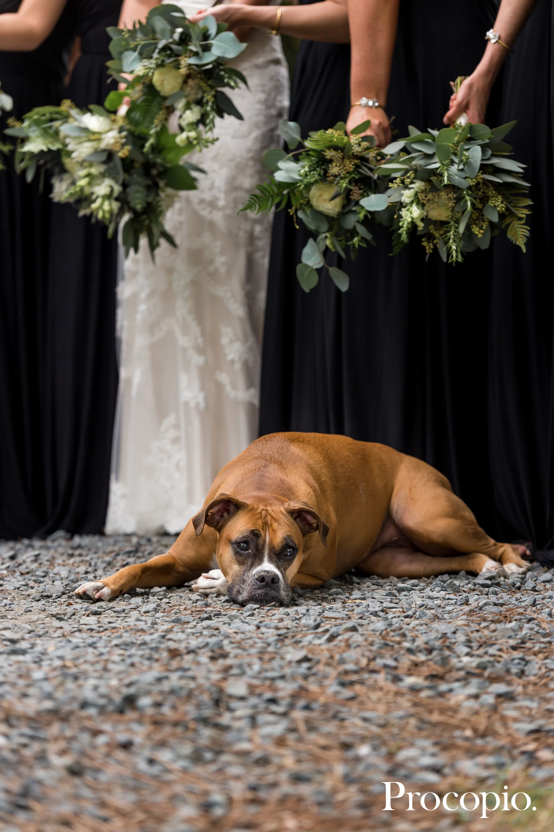091617_©ProcopioPhotography_RubinoWedding-DoNotRemoveWatermark-083.jpg