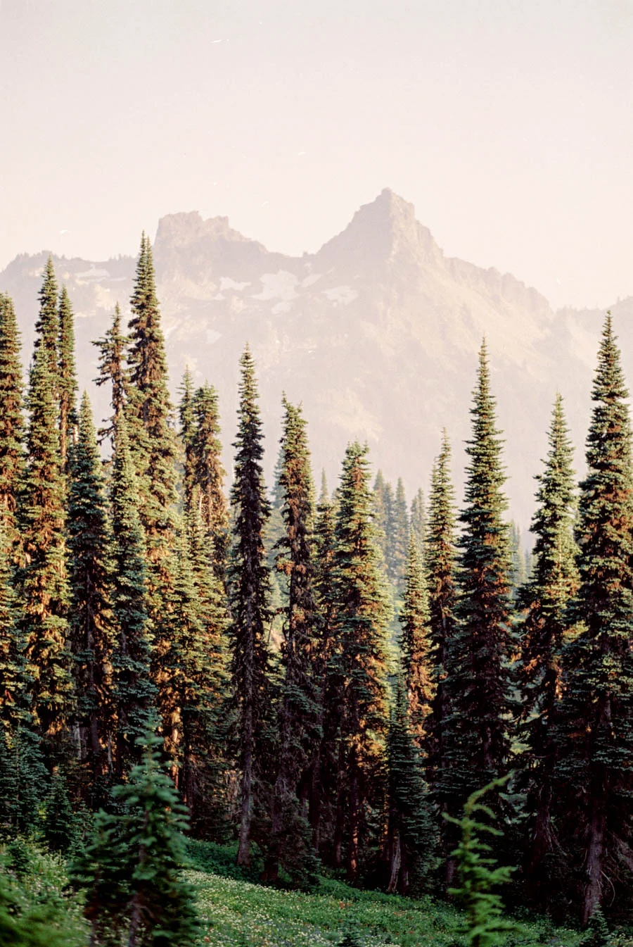 Mountains Editorial (262).jpg
