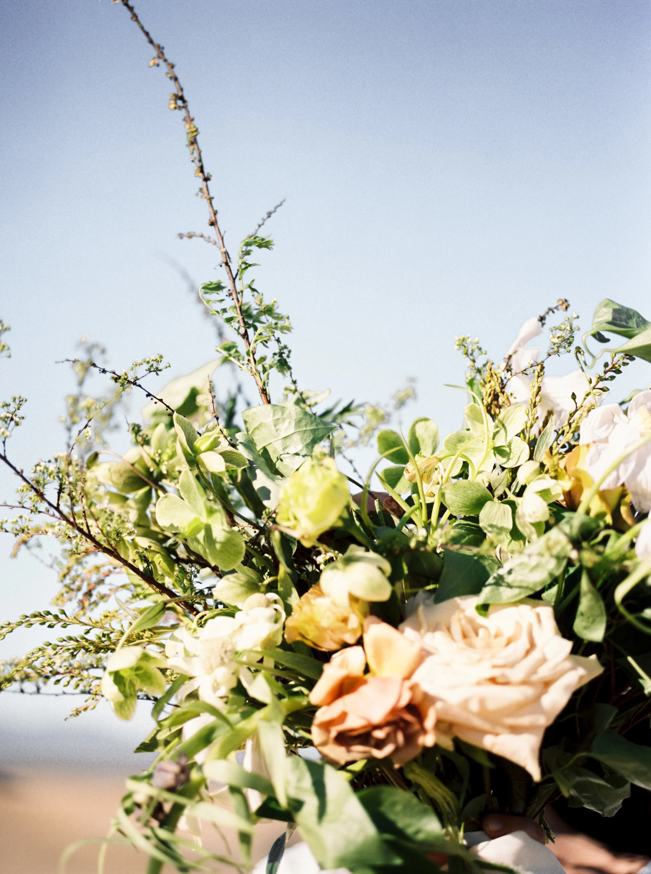 GlamisEditorial_MatoliKeelyPhotography(37of143).jpg