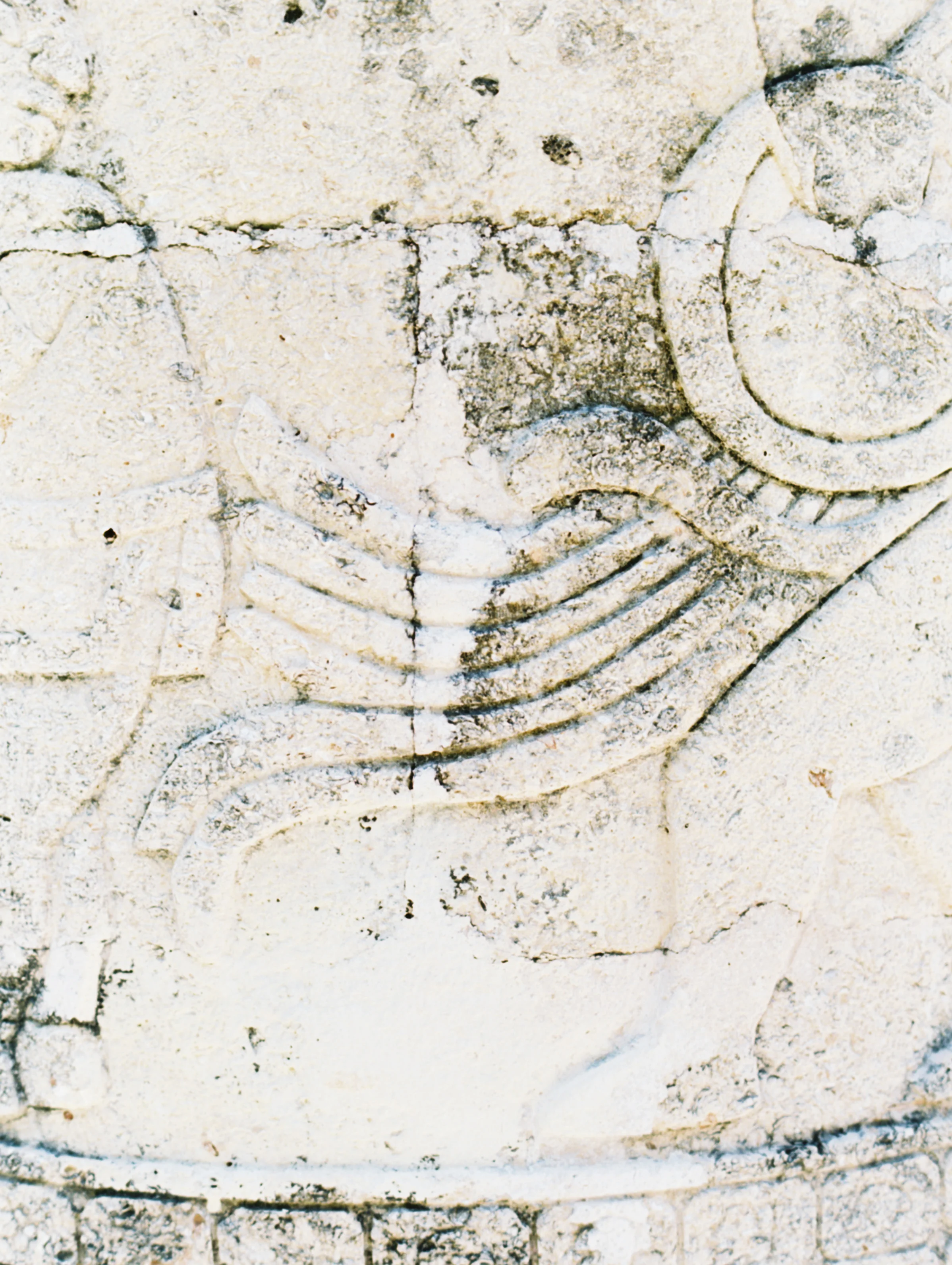 NIZUC_0062.jpg