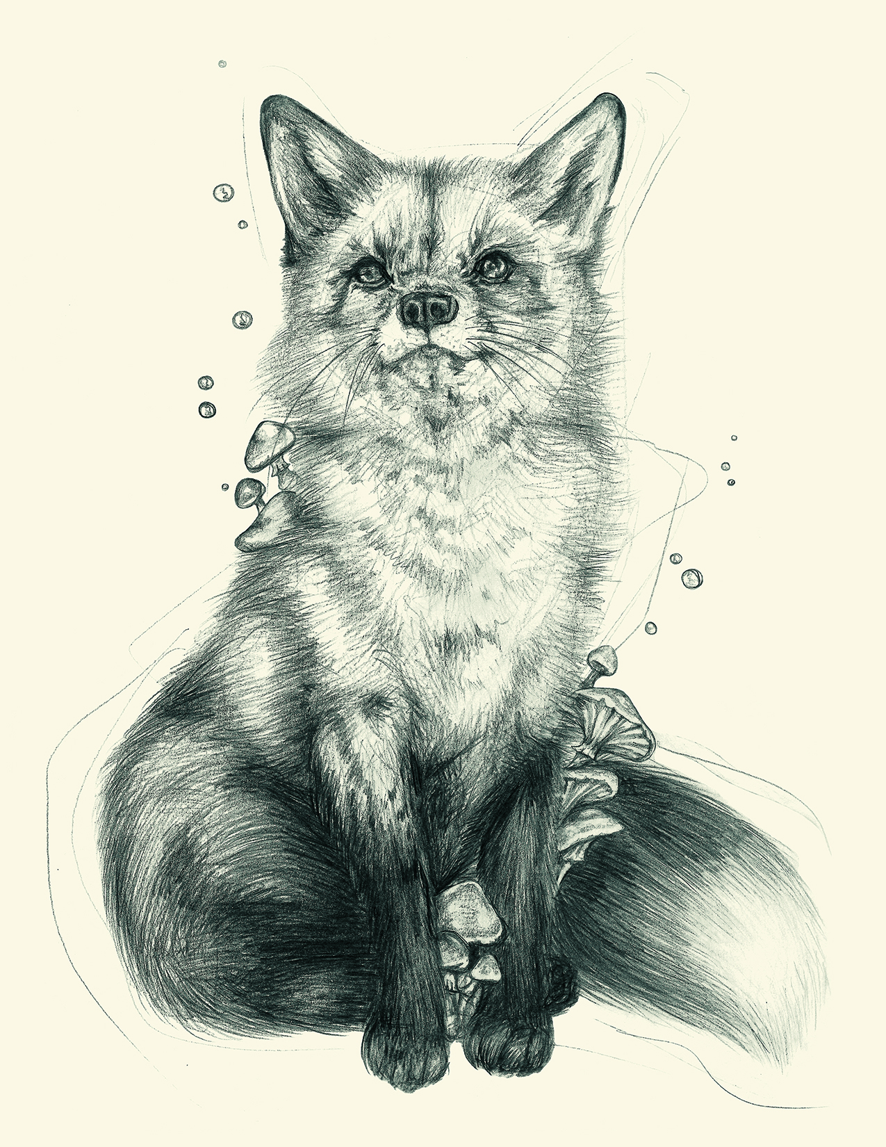 foxyfoxy copy.jpg