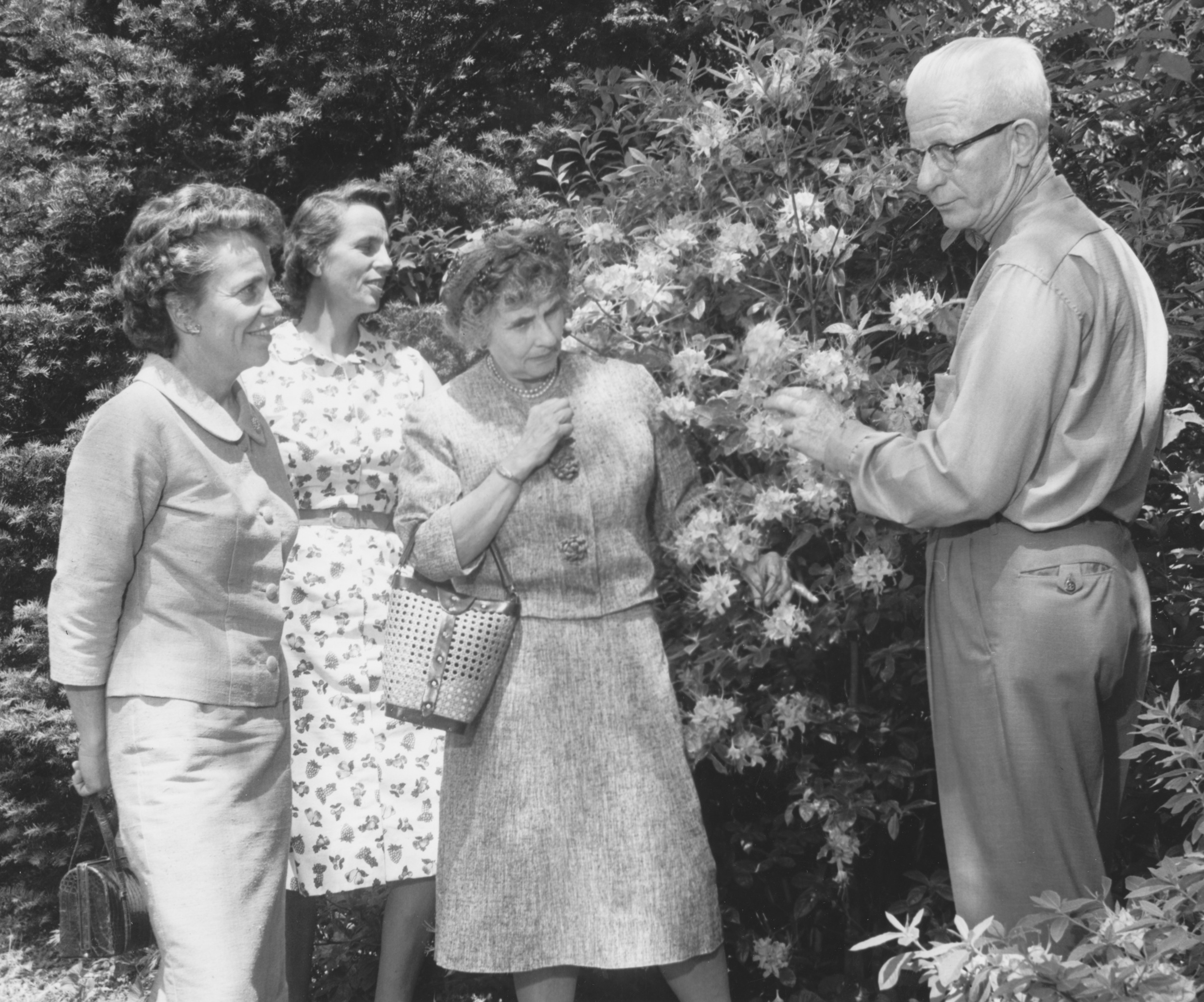 SLGC field trip to Davey Tree Company in Kent, OH in 1963. Mrs. Farrand Taplin, Mrs John Calfee (Nancy) and Mrs. Edmund Rogers with Homer Jacobs, a wonderful horticulturist who later worked at Holden Arboretum.