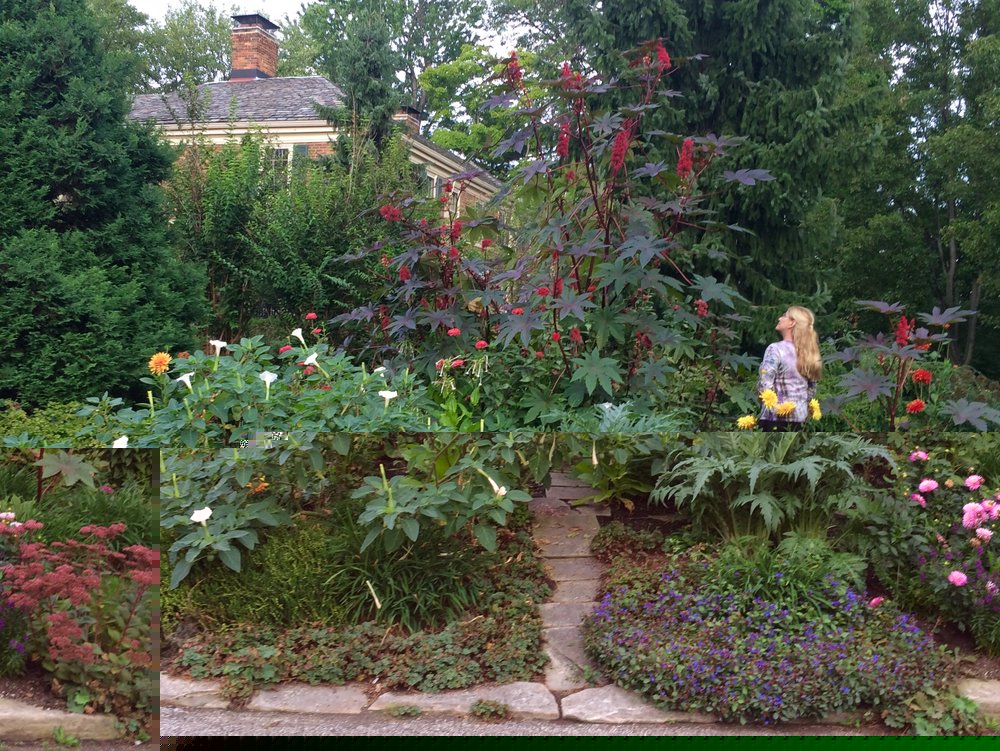 The author, Margaret Ransohoff, in her garden