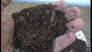 soil.jpg