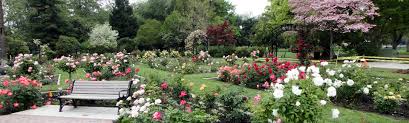 garden.jpg