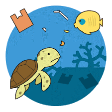 turtle.png