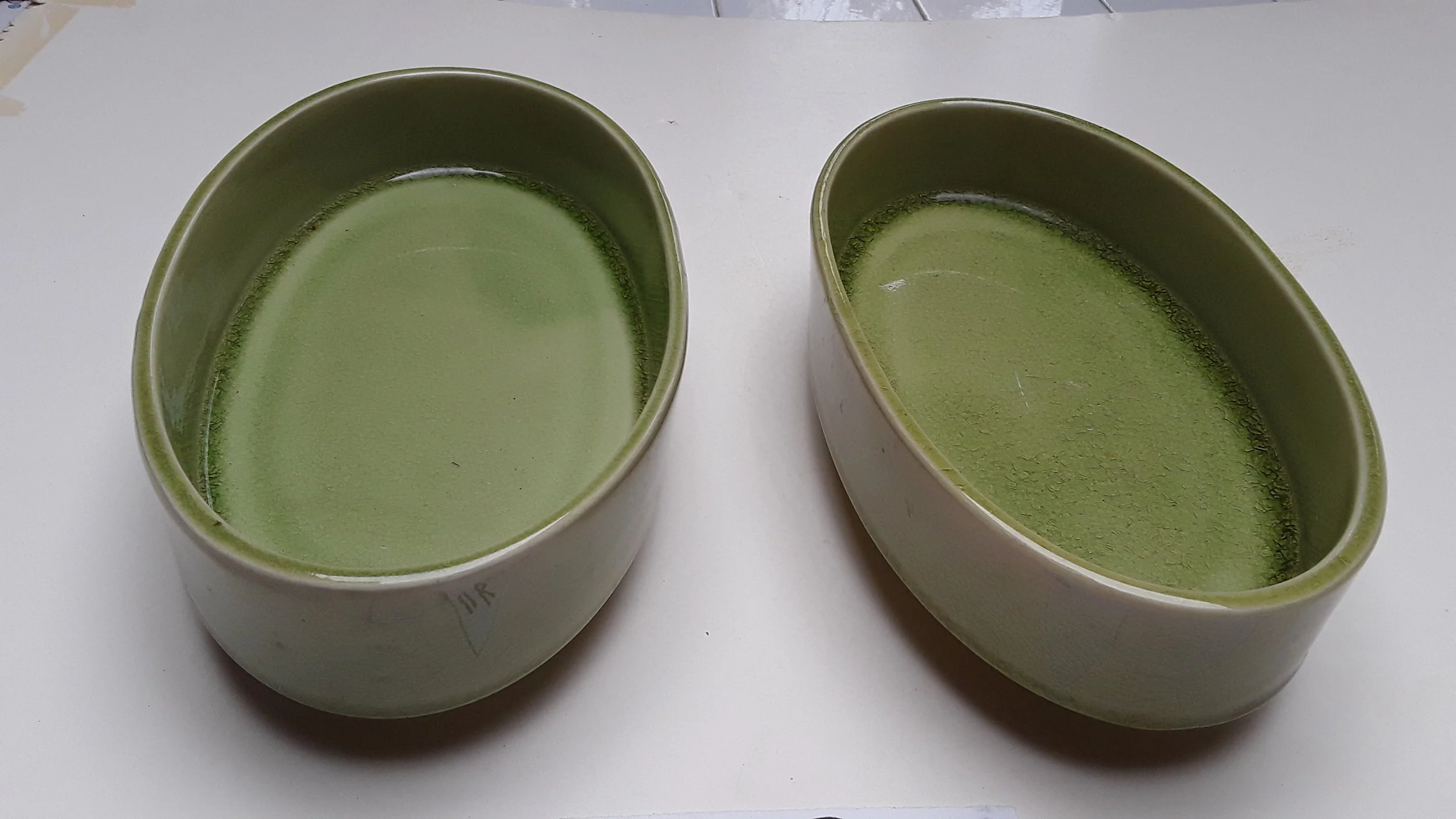 20181110_100433.jpg