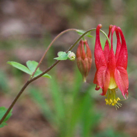 image003.jpg