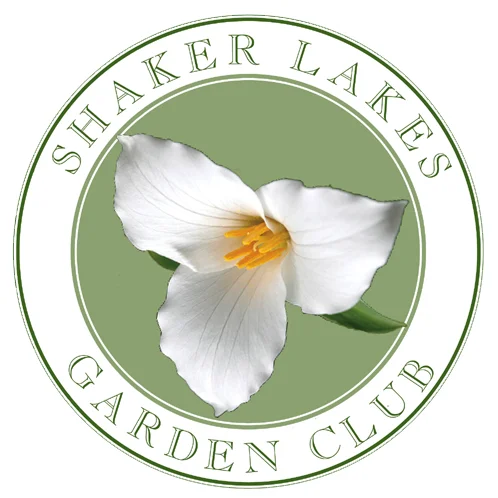 logo color.jpg