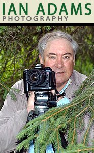 Ian Adams.jpg