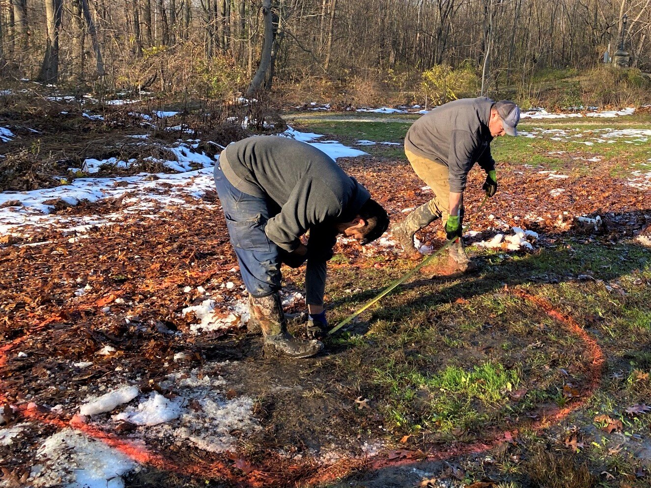  On December 10, when the snow finally melted, we began planting.  Leaves and loose snow were blown away, and each tree location was marked by a 10' circle. 