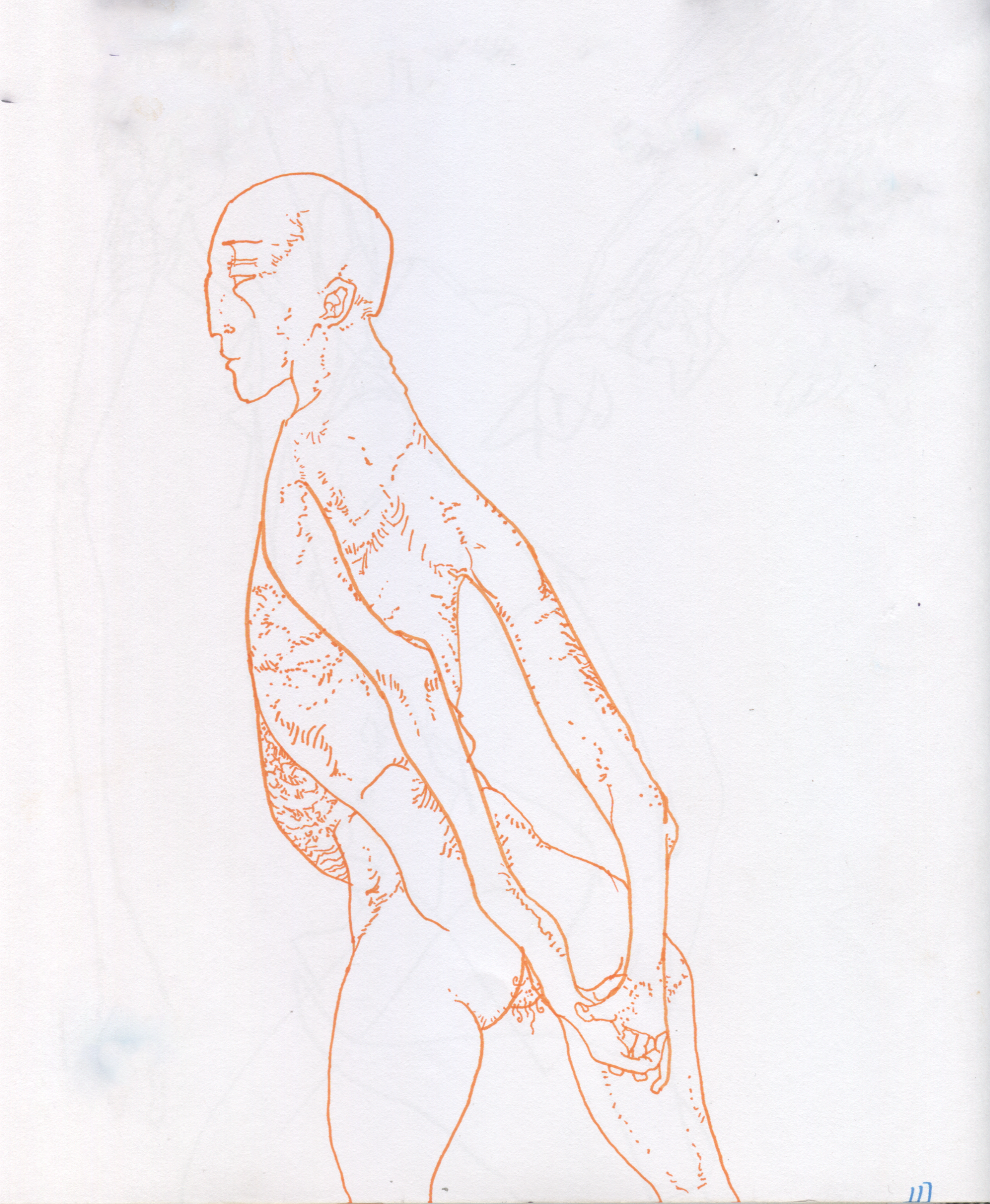 Image (7).png