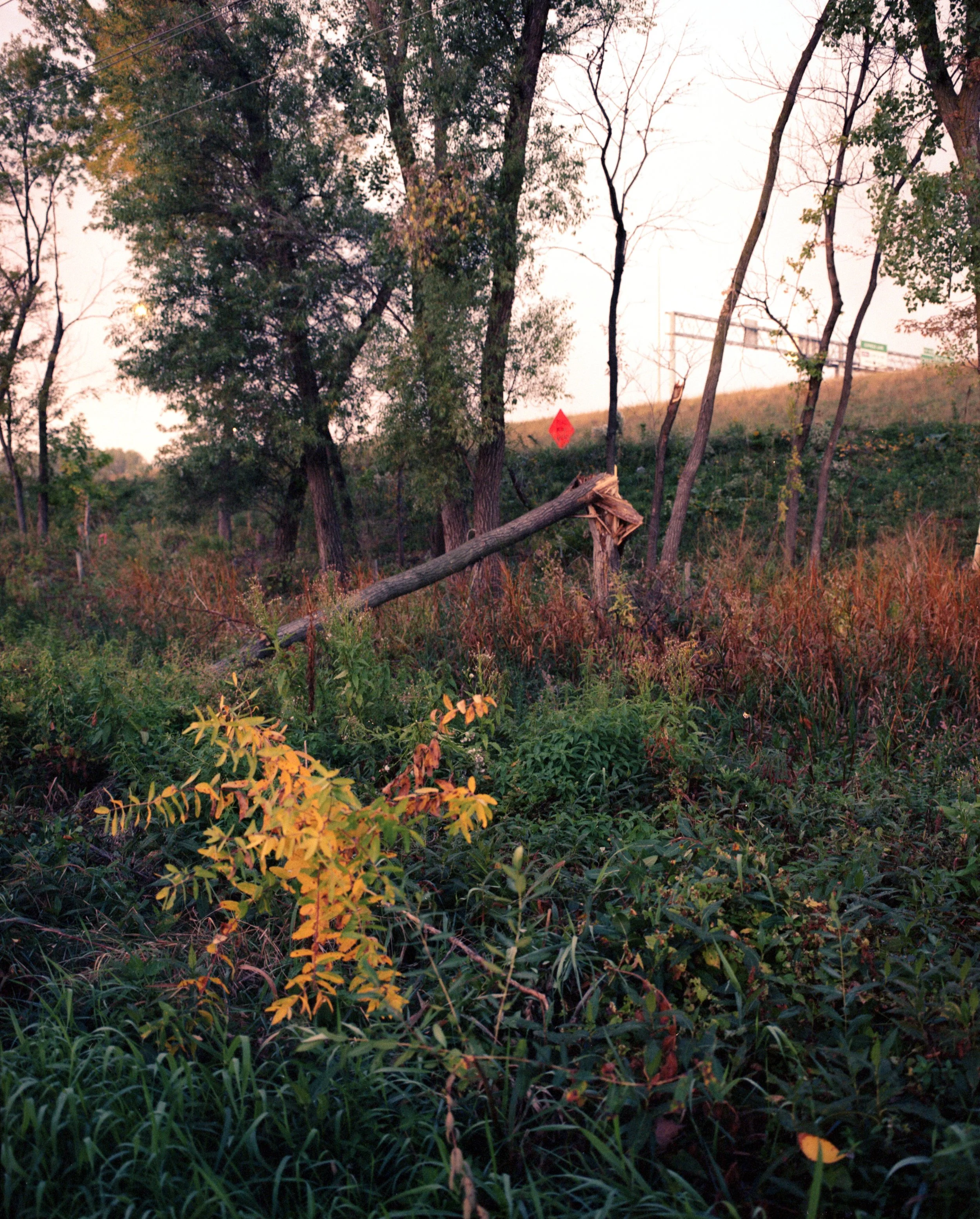 img346.jpg