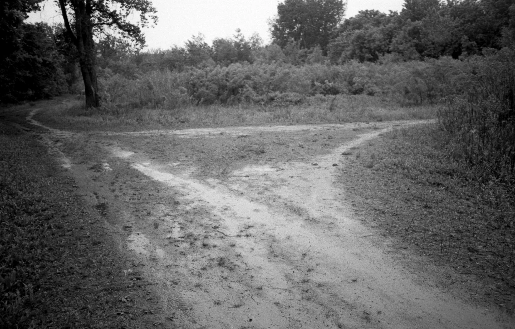 img849.jpg
