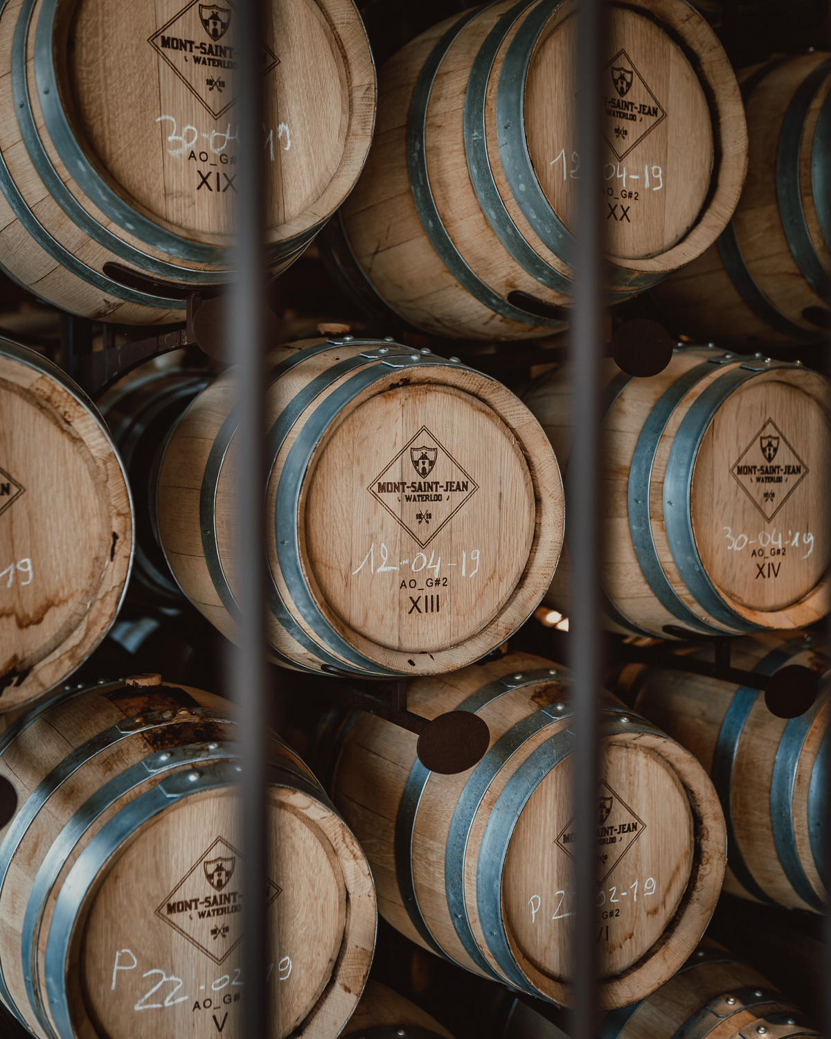 sqsp-hop-harvest-20190830-08935.jpg