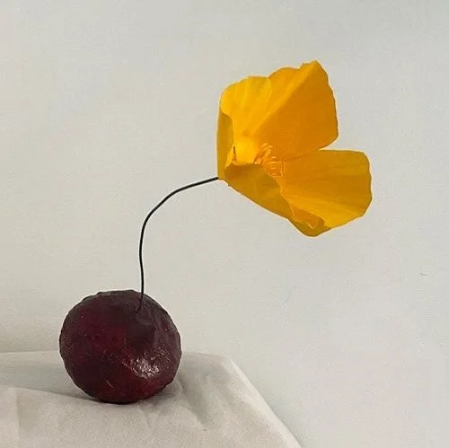 🧅 papier-m&acirc;ch&eacute; red onion sculpture with small hole for holding a wire stem

🧅 paper California poppy with wire stem

🧅 3&rdquo; diameter flower head

🧅 watercolor on 60 lb paper

🧅 link in bio ✨