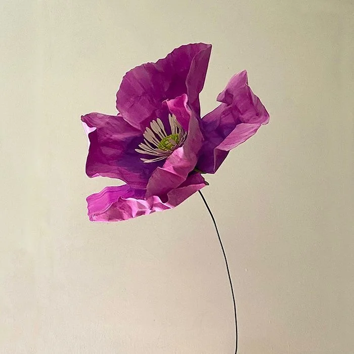 🦄 paper poppy with wire stem

🦄 6.5&rdquo; diameter flower head

🦄 watercolor on 60 lb paper

🦄 link in bio ✨