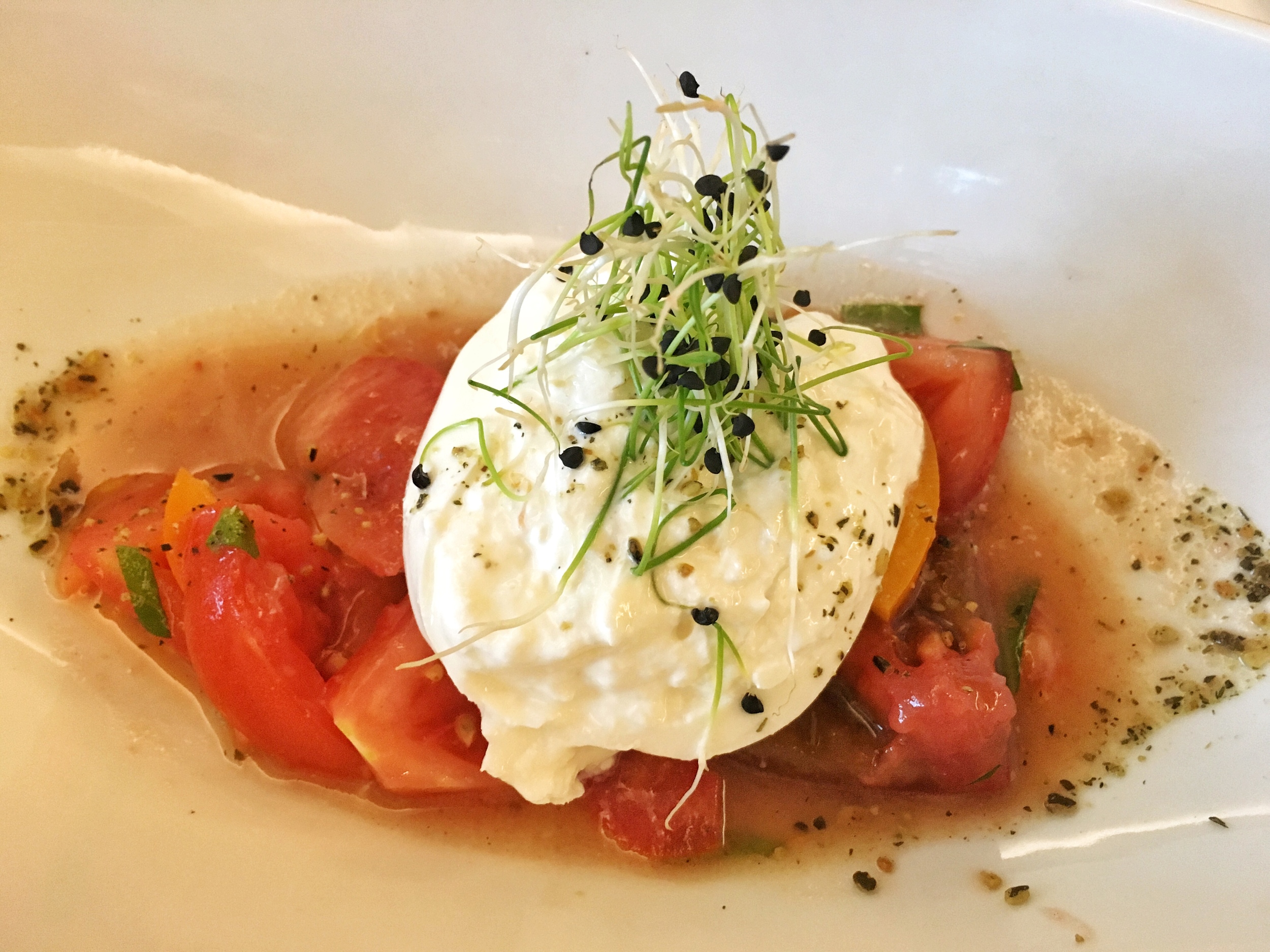 Special appetizer of the day- burrata, salsa verde, heirloom tomatoes, cilantro.