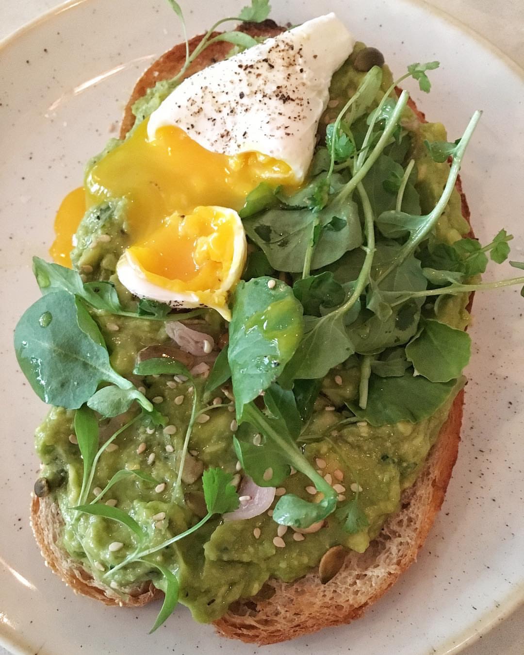 Smashed avocado on sourdough with charred scallions, jalapeño, cilantro, pepitas, lime and a poached egg on top