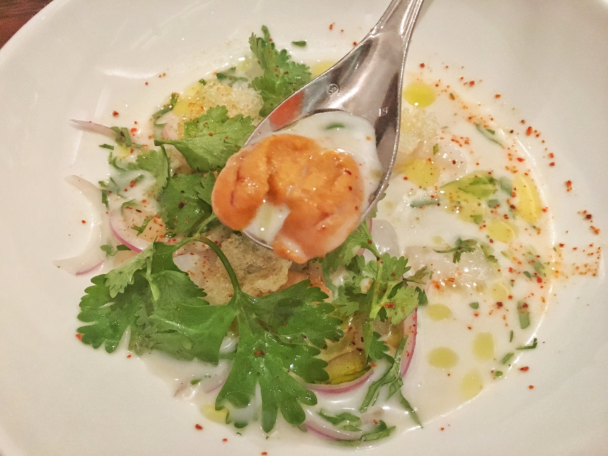 scallop cebiche, uni, coconut tiger's milk, red onion, cilantro, tapioca 