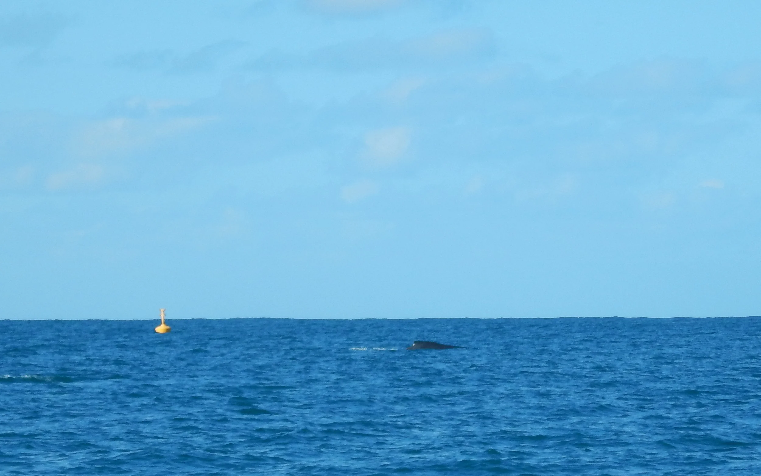 DSCN5923.jpg