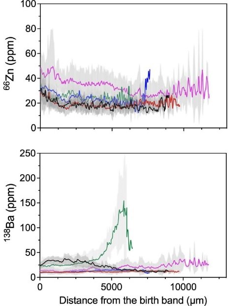 Example ICPMS figures 2.jpg