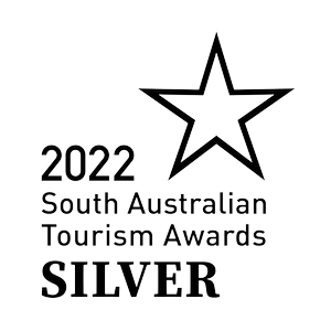 2022+TiCSA_AwardLogo_Silver_POS_Mono.png