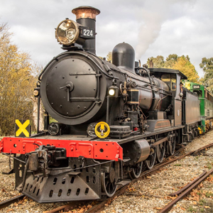 Cockle Train