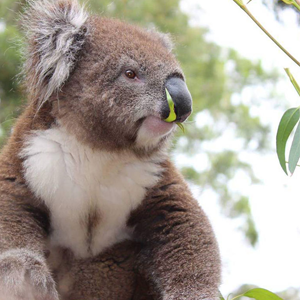 Urimbirra Wildlife Park