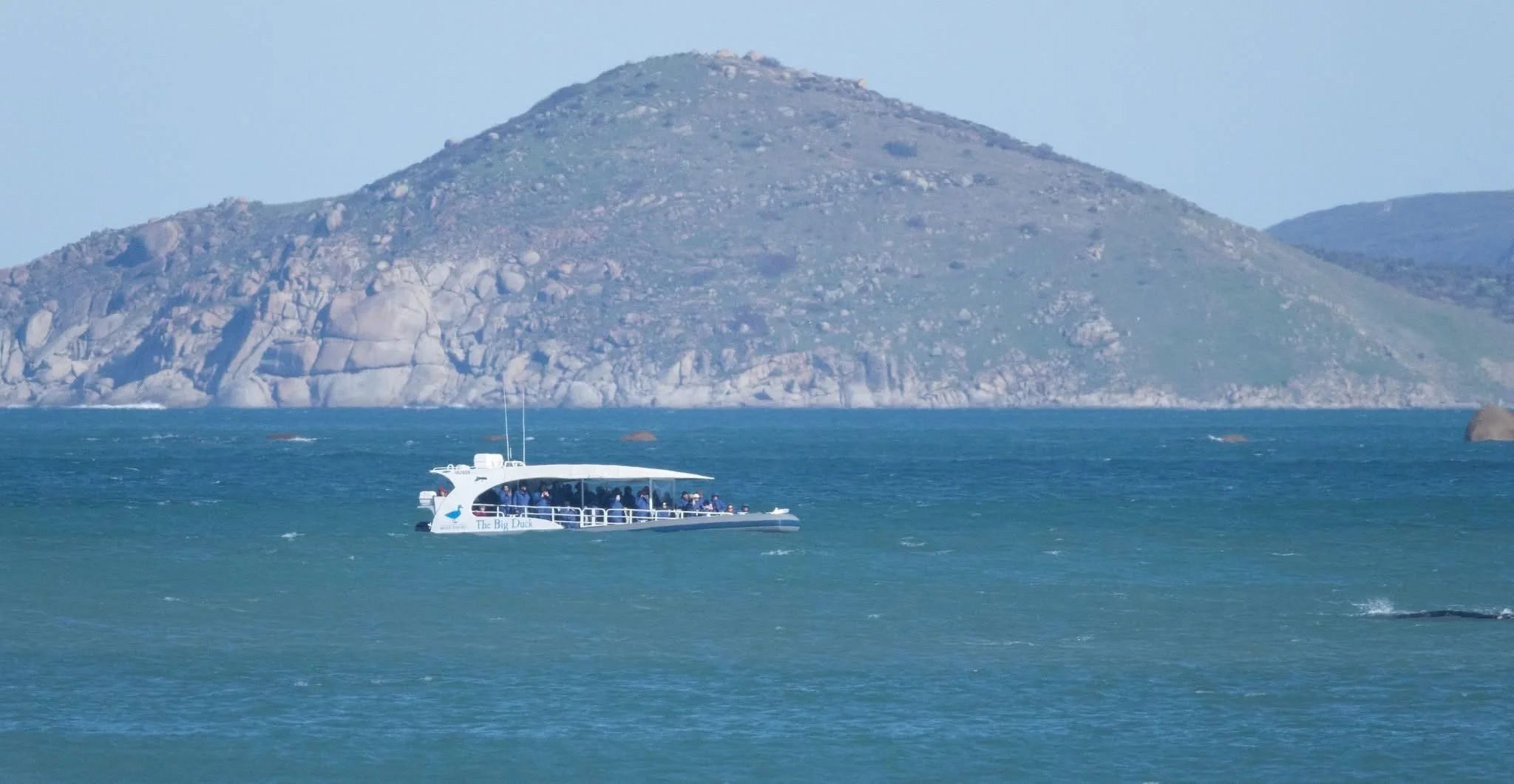 Vessel and Whale with Bluff in background.jpg