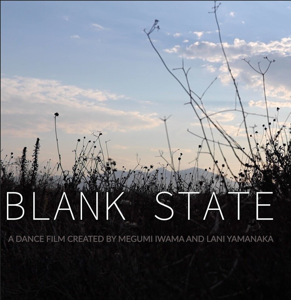 Blank State (Copy)